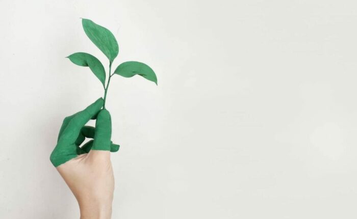 étude thermique re2020 immeuble